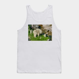 Glacier National Park and Rocky Mountain Sheep Tank Top